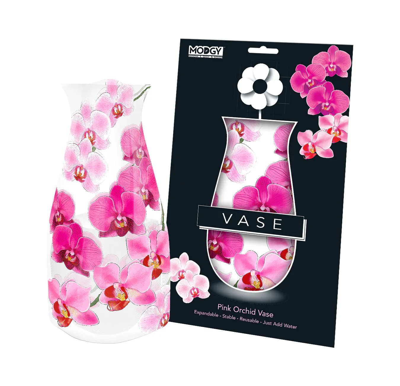 MODGY Decorative Vases - Image 12