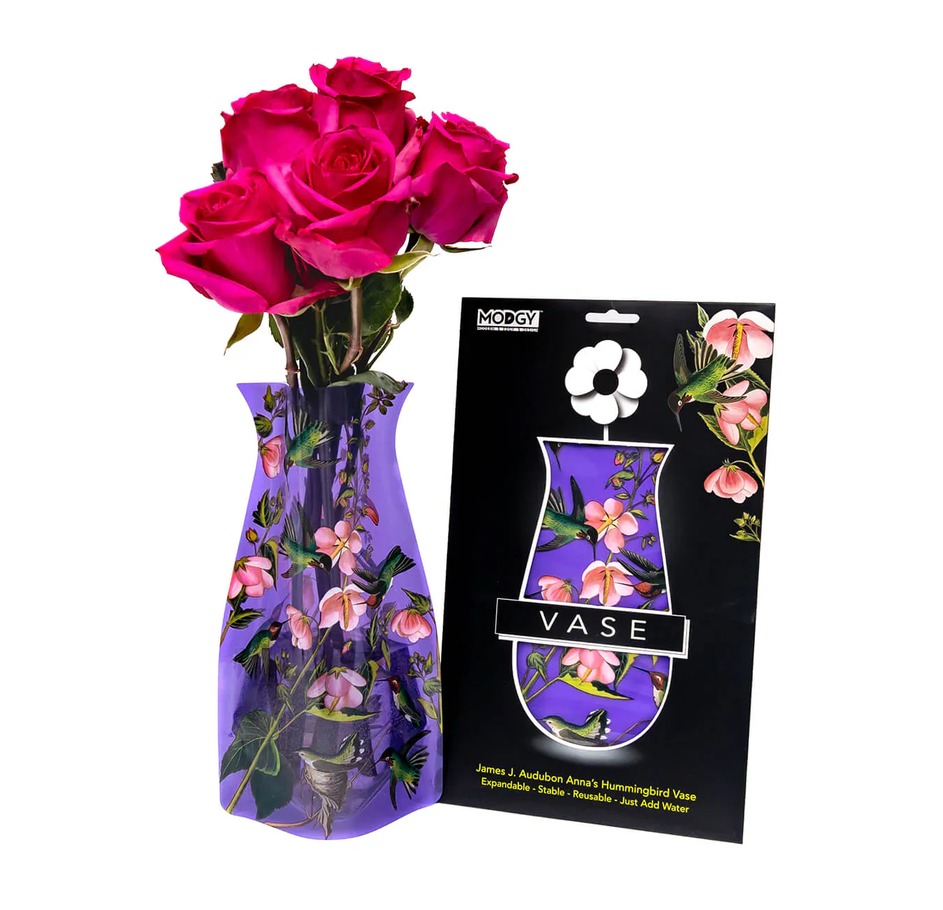 MODGY Decorative Vases - Image 4